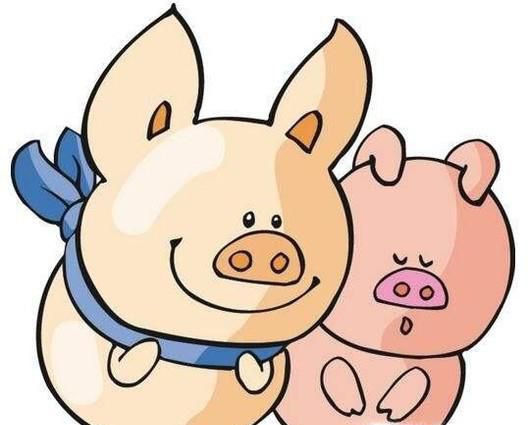 属猪2017年运势及运程