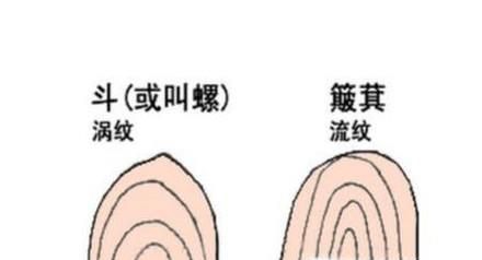 手指上几个斗代表不同的命运,你知道吗