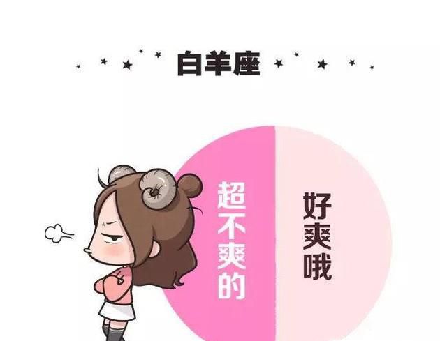 十二星座每个意思
