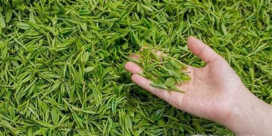 礼品茶叶的性价比高吗？为什么？