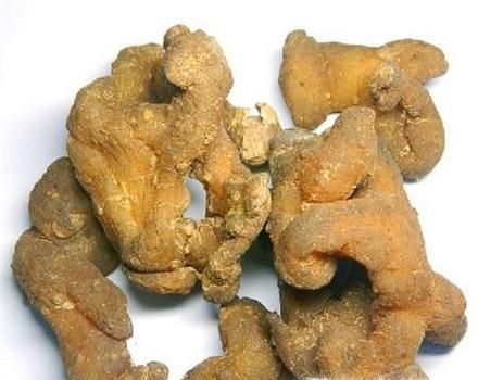 黄精泡水喝的禁忌