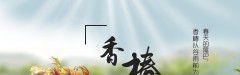吃香椿勾老病是真的吗？