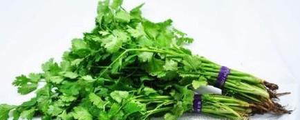 多吃香菜有什么好处？