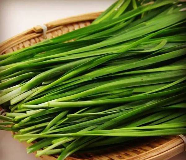 韭菜不能跟什么食物一起吃？据说99％的人都不知道？