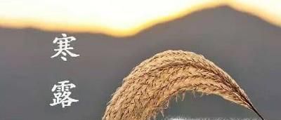寒露养生吃什么？寒露时节的注意事项
