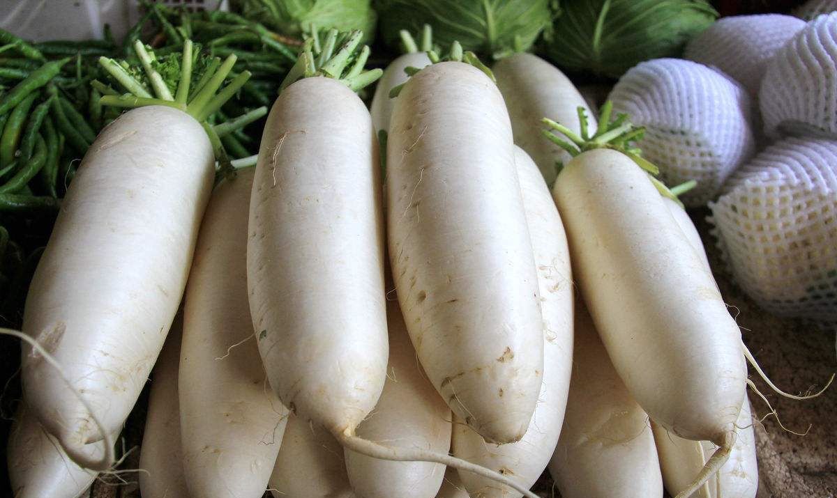 吃白萝卜的好处和注意事项，能预防结肠癌吗？