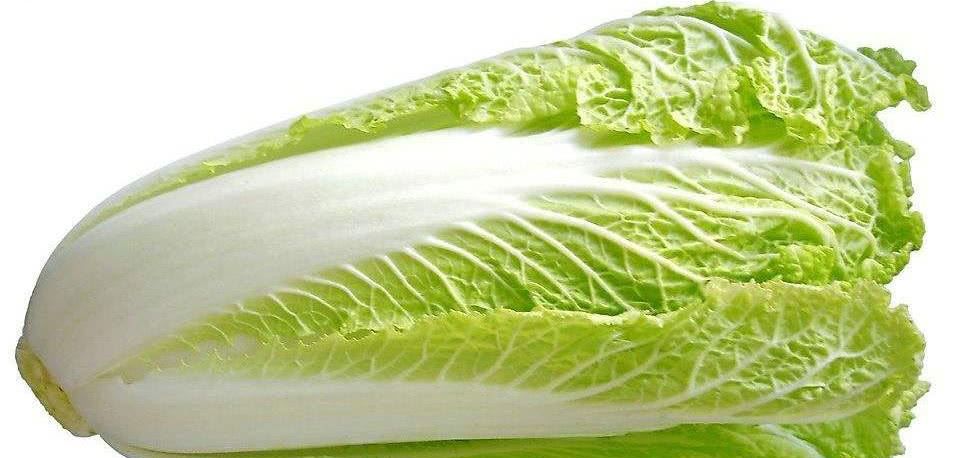 白菜功效与作用及禁忌，什么情况不能吃？