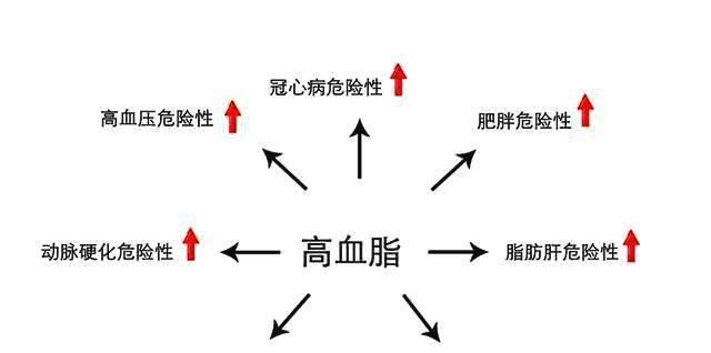 血脂高如何调理？怎么有效降低高血脂