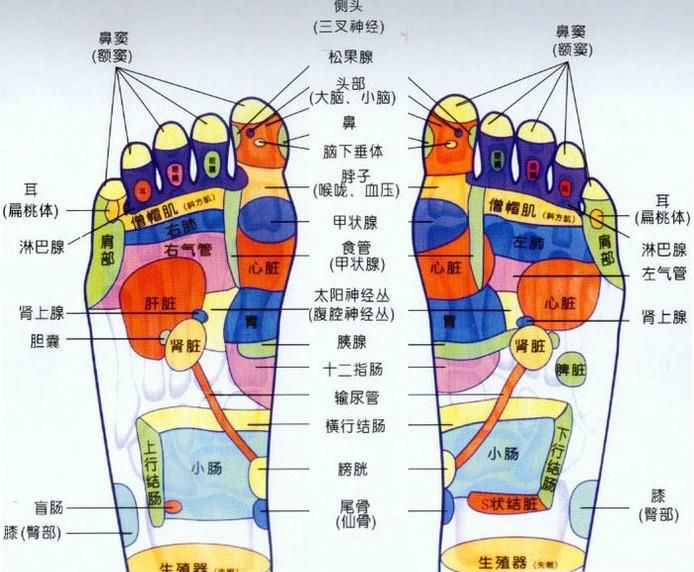 脚底按摩穴位图
