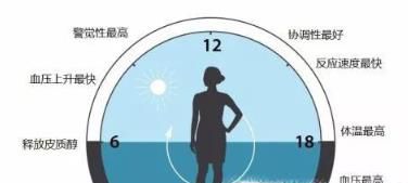 一天正常的作息时间表