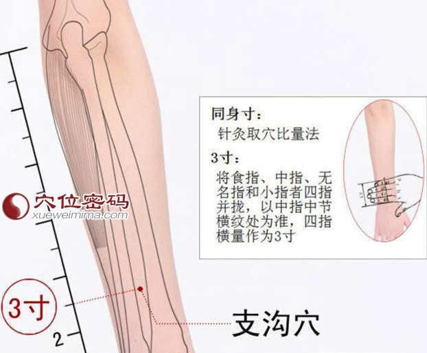 支沟穴位位置图及作用