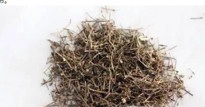 白花蛇舌草的功效与作用