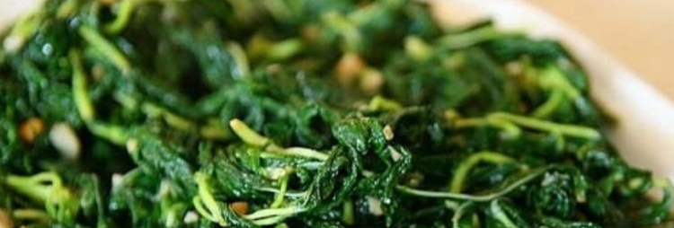 麻叶是什么