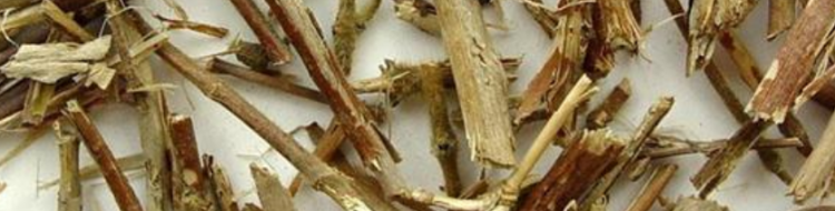 忍冬藤的功效与作用