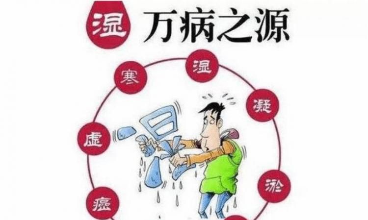 体内湿气大怎么办