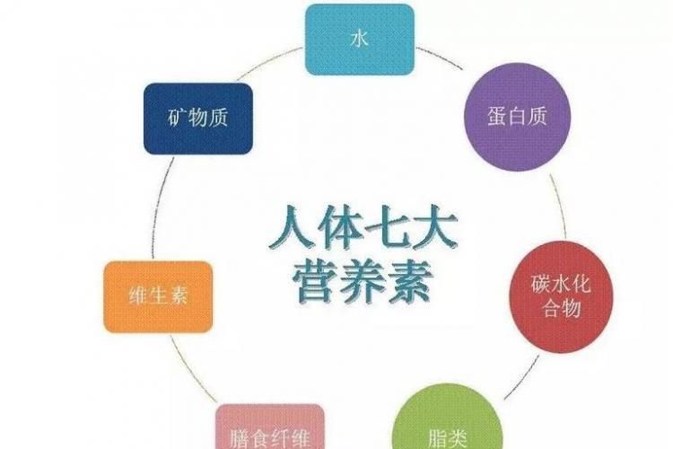 如何做到冬季进补的全和精？