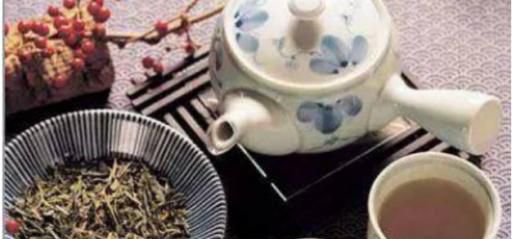 养身体补肾喝什么茶