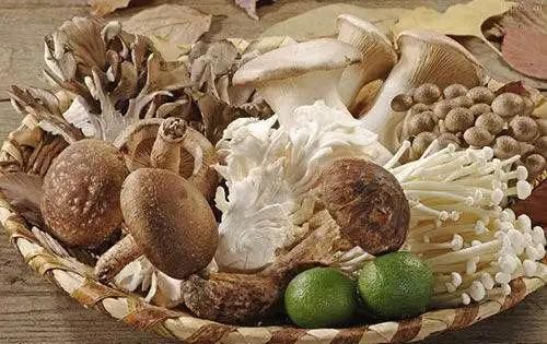 血脂稠应当吃什么食物？