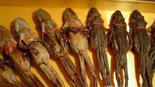 提高女性性欲的食物有哪些？