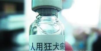 打了狂犬疫苗应该注意哪些事情？