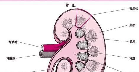 长期服用降糖药的危害