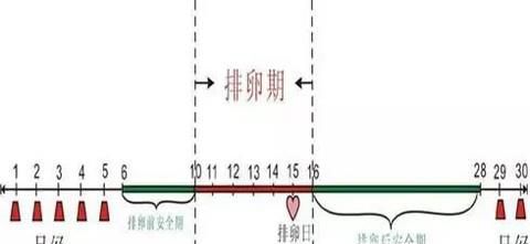 四招教你快速怀孕