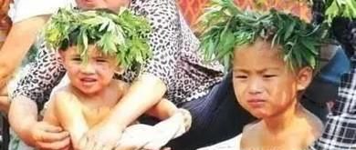 用艾草煮水洗头后....简直惊呆了