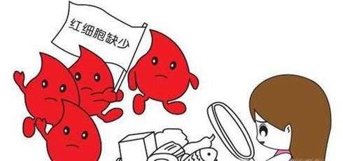 哪些人不适合轻断食