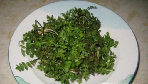 经常用眼吃什么食物比较好？