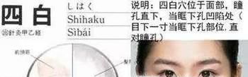 四白穴穴位位置图及作用