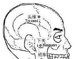 颊车穴穴位位置图及作用