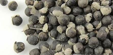 蔓荆子的功效与作用
