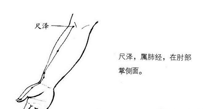 人体有四个止咳特效穴