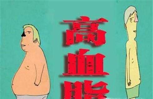 血脂高吃什么食物比较好？如何避免血脂高？