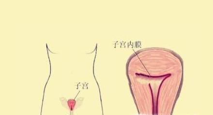 哪些行为会对子宫造成伤害？