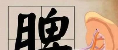 脾虚如何调理食疗方法