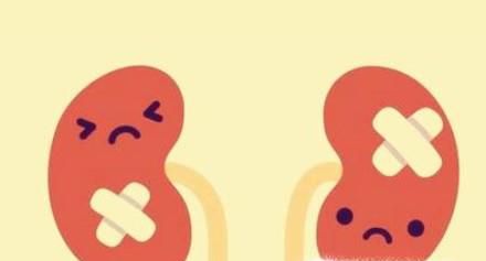 肾病患者平时应注意哪些问题，以免踩雷？