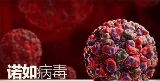 秋冬季节如何预防诺如病毒？患儿如何护理？