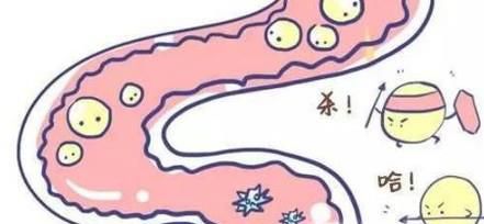 肠道癌变的症状有哪些？该怎样预防？