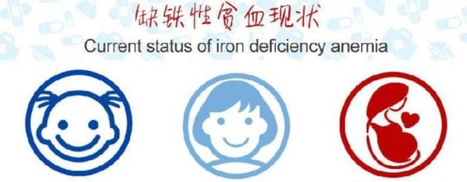 铁在人体中有哪些作用