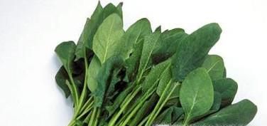 了解菠菜的功能与禁忌