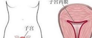 子宫内膜厚度正常值