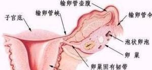 子宫内膜薄的症状