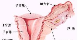 出现继发性闭经怎么办