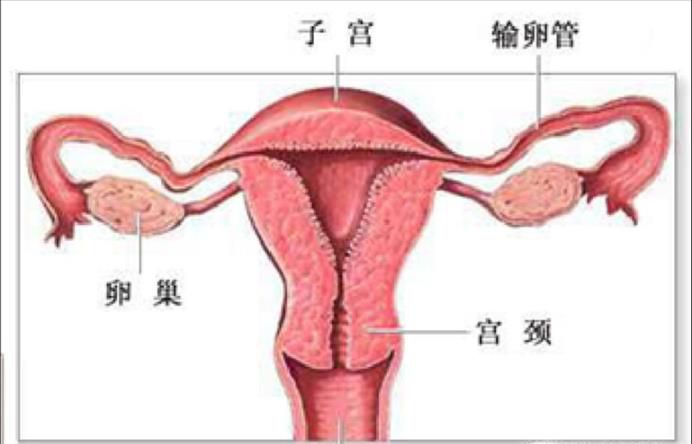 子宫内膜炎怎么治疗