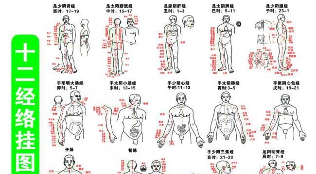 十二经络歌诀记忆法