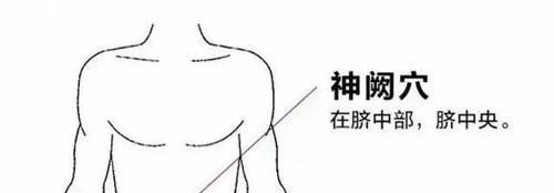 神阙穴位位置图及作用