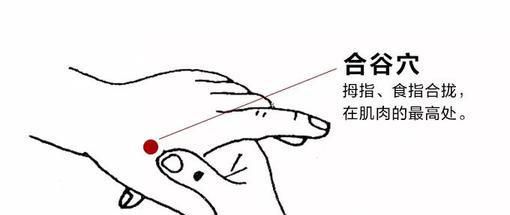 合谷穴穴位位置图及作用
