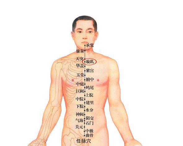 全身经络图解