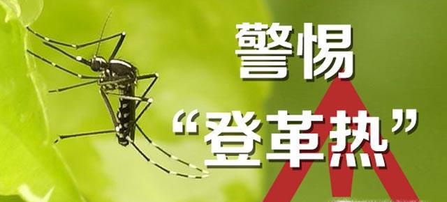 感染登革热有什么症状？
